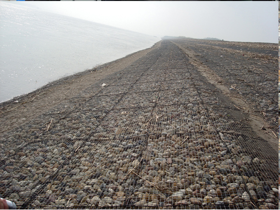PP Geogrid for soil stabilization